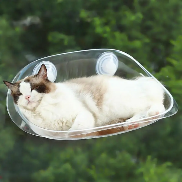 Cama suspensa de janela SkyCat | O descanso com vista do seu gato